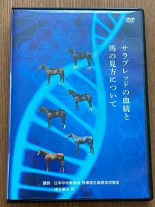 サラブレッドの血統と馬の見方について　馬体　一口馬主　デアリングタクト