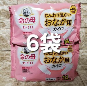 60枚　6袋　じんわり温かい　おなか用カイロ　カイロ　命の母　お腹カイロ