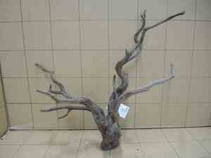 *iwoya* black branch driftwood 8306