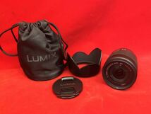 ★Panasonic★LUMIX★カメラレンズ★ケース付き★G VARIO 1:3.5-5.5/14-45 ASPH.★MEGA O.I.S.★H-FS014045★パナソニック★SR(N126)_画像1