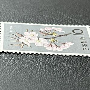 ☆1961年 花シリーズ やまざくら 10円切手 未使用品☆定形郵便全国一律84円発送の画像3