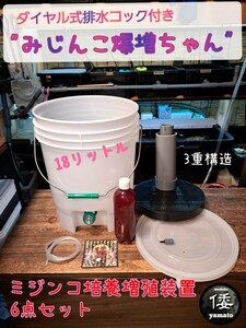 【倭めだか】 “みじんこ爆増ちゃん” タマミジンコ タイリクミジンコ オオミジンコ 培養 装置 増殖 PSB メダカ らんちゅう 熱帯魚の餌に