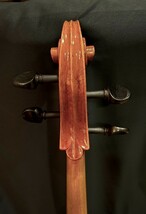4/4モダンチェロ　演奏家からの依頼で格安再出品です!　CESARE CANDI〜1928 ラベル　　高級弓　LUBOS ODLAS（チェコ）を付属します　_画像6