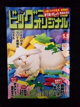 [13075]ビッグコミックオリジナル 2022年5月5日号 小学館 薔薇村へようこそ 夢で逢いましょう 前科者 昭和天皇物語 釣りバカ日誌 風の大地_画像1