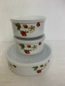 a202 unused ceramics preservation container strawberry .