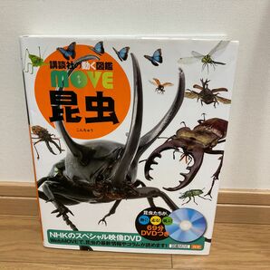 昆虫 （講談社の動く図鑑ＭＯＶＥ） 養老孟司／監修