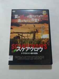 DVD【スケアクロウ トウモロコシ畑の獲物】レンタル落ち 傷大 カナダ 日本語吹替・字幕 ハンナ・ゴードン マイク・テイラー ウメド・アミン