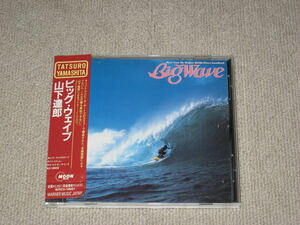 ■CD「山下達郎 ビッグ・ウェイブ/Big Wave」痛みあり/アルバム/ビーチ・ボーイズ■
