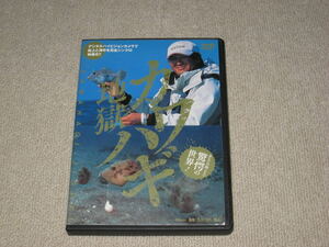 ■DVD「カワハギ地獄 宮澤幸則 あなたの知らない驚愕の世界」ジャケ痛み/つり人編集部/釣り/教則■