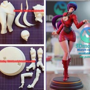 女性フィギュア kof アニメゲームキャラモデル ガレージキット 未塗装 未組み立て 24cm largeサイズ セクシー美少女の画像1