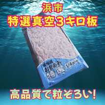 浜市［特選真空3キロ板］4個入1箱　オキアミ　釣りエサ　_画像1