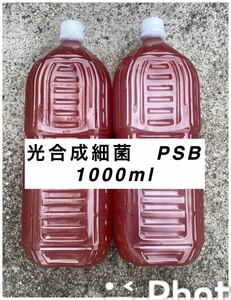 限定値下げ　PSB 光合成細菌 1000ml 自家培養