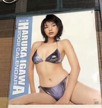 井川遥　カレンダー水着！永遠の美女_画像2