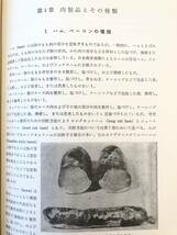 畜肉の科学と製造 橋本吉雄編著 養賢堂 昭和44年改訂版 食肉加工技術に関する本 肉畜の種類 食肉の性状 肉製品種類 A15-01C_画像7