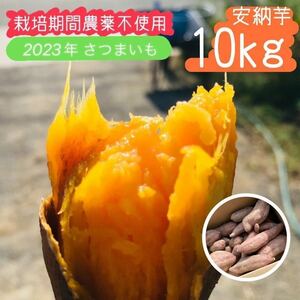 【2023年収穫】10kg 安納芋 さつまいも【栽培期間農薬不使用野菜】ねっとり甘いサツマイモです♪