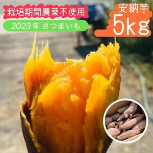 【2023年収穫】5kg 安納芋 さつまいも【栽培期間農薬不使用野菜】ねっとり甘いサツマイモです♪