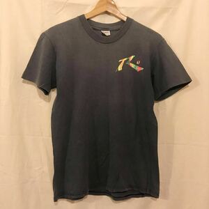 90's オールドサーフ ラスティ Tシャツ Stedmanタグ