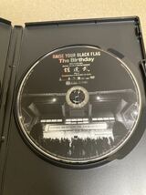 即決 希少 The Birthday DVD 2枚組 RAISE YOUR BLACK FLAG TOUR VISION FINAL LIVE AT NIPPON BUDOKAN 武道館 チバユウスケ ザ バースデイ_画像5