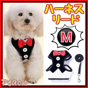 《新品》ハーネスリード タキシード風 ワンちゃん 犬用 お散歩 赤 Mサイズ 犬服 ドッグウェア レッド タキシード