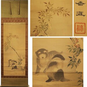 Art hand Auction Gen [Décision immédiate, livraison gratuite] La scène de neige de Kogai, Nandina et Puppy / Boîte incluse, Peinture, Peinture japonaise, Fleurs et oiseaux, Faune