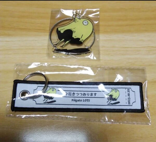 ★ 秋山黄色 新潟限定 フライトタグ&キーホルダーセット ★