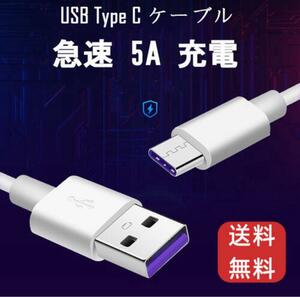 タイプC USB ケーブル 1m 5A超急速充電 任天堂スイッチ アイ