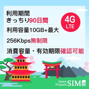 商品名: docomoプリペイドデータ専用SIM(きっちり3ヶ月間に10GB)