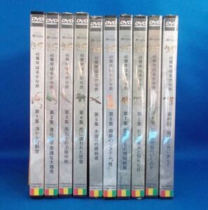 NHKスペシャル 生命 40億年はるかな旅 第1集-最終回 全10巻 DVD全巻セット 未開封 (1と6のみ開封) 1994年 レトロ 当時物 未使用