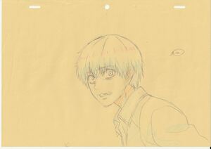 東京喰種 トーキョーグール Tokyo Ghoul 金木研 原画14枚セット