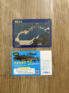 非売品☆ 蔵王ダム 滋賀県 ダムカード おまけ付 アメリカナマズカード　送料63円可能