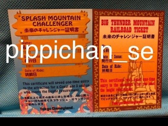 ディズニーランド 未来のチャレンジャー証明書 スプラッシュマウンテン+ビッグサンダーマウンテン 記入なし