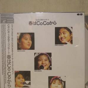 L9732 LD・レーザーディスク  CoCo / 1991 コンサート 春はCoCoからの画像1