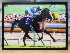 競馬.イクイノックス.パネル.競馬ブック.予約限定ポスター