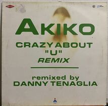 AKIKO/crazy about u remix_画像1