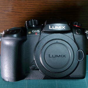 【美品 新品保証残5カ月 ショット数2053】LUMIX DC-GH5M2 Panasonic（パナソニック） ※GH5ii ※マイクロフォーサーズ ※Olympusレンズにも