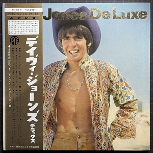 美品ほぼ美盤 DAVY JONES デイヴィ・ジョーンズ De Luxe デラックス 帯付 LP Monkees モンキーズ What Are We Going To Do?