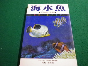 # saltwater fish popular fish kind . breeding law color catalog Mouri . Akira Ikeda bookstore #FAIM2023122912#