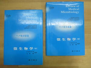 r24☆ 【 まとめ 2冊 】 ランゲ医学叢書 微生物学 上 下 セット ジャウェツ 小松信彦 大谷明 廣川書店 231228