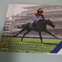 ☆ JRA QUO カード 　エースインパクト　☆凱旋門賞　2023年　優勝馬　☆クオカード500円分　未使用　_画像2