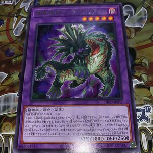 遊戯王　DIFO-JP037　レア　捕食植物アンブロメリドゥス　DIMENSION FORCE