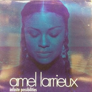 Amel Larrieux - Infinite Possibilities（2LP）（★盤面ほぼ良品！）