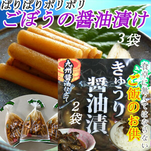 「宮崎の漬物」 醤油漬二選 ごぼう醤油漬100g×3袋 きゅうり醤油漬100g×2袋 宮崎産 ご飯のお供 九州醤油 お茶うけ 懐かしい古里 送料無料