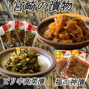 【宮崎の漬物】 福の神漬 120g×2袋 ピリ辛高菜 150g×3袋 ご飯のお供 おにぎり 炒飯 送料無料