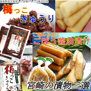 宮崎の漬物 ごぼう醤油漬100g×2袋 梅っこきゅうり100g×2袋 ご飯のお供 お茶うけ お弁当 南高梅 国内産 ごぼう 　送料無料