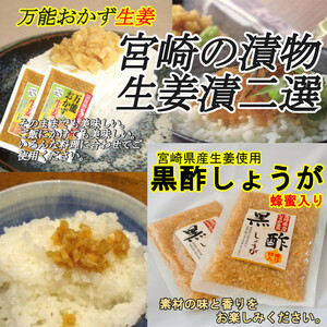 [ Miyazaki. tsukemono pickles ] raw . two selection all-purpose side dish raw .130g×2 sack black vinegar ginger 130g×2 sack beauty . health . free shipping 
