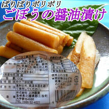 「宮崎の漬物」 醤油漬二選 ごぼう醤油漬100g×3袋 きゅうり醤油漬100g×2袋 宮崎産 ご飯のお供 九州醤油 お茶うけ 懐かしい古里 送料無料_画像5