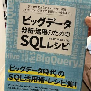 ビッグデータ分析・活用のためのＳＱＬレシピ　データ加工から売上・ユーザー把握、レポーティング等々の各種データ分析まで 加嵜長門／著