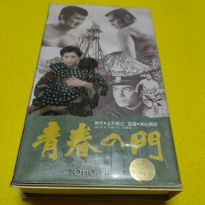 ビデオ　青春の門2　仲代達矢　吉永小百合　小林旭　田中健　大竹しのぶ　関根恵子
