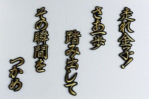 ◆送料無料◆ 金子 応援歌 (行金/黒)刺繍 ワッペン 西武 ライオンズ 応援 ユニホーム に