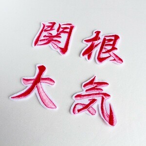 関根　大気 ネーム (ピンク/白) 刺繍 ワッペン 横浜 DeNA ベイスターズ 応援 ユニホーム に